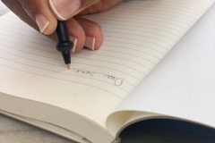 Lioness Living Journal