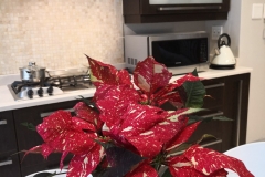 Kitchen Makeover 9