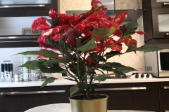 Kitchen Makeover 10