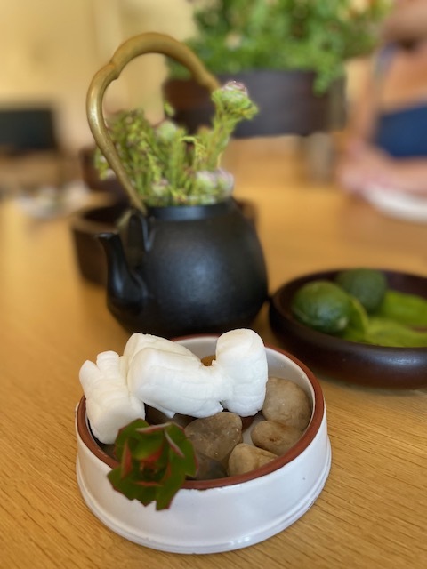 Lioness Living Lioness Living